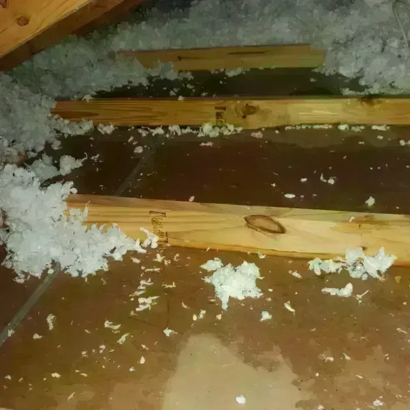 Attic Water Damage in Carter County, TN